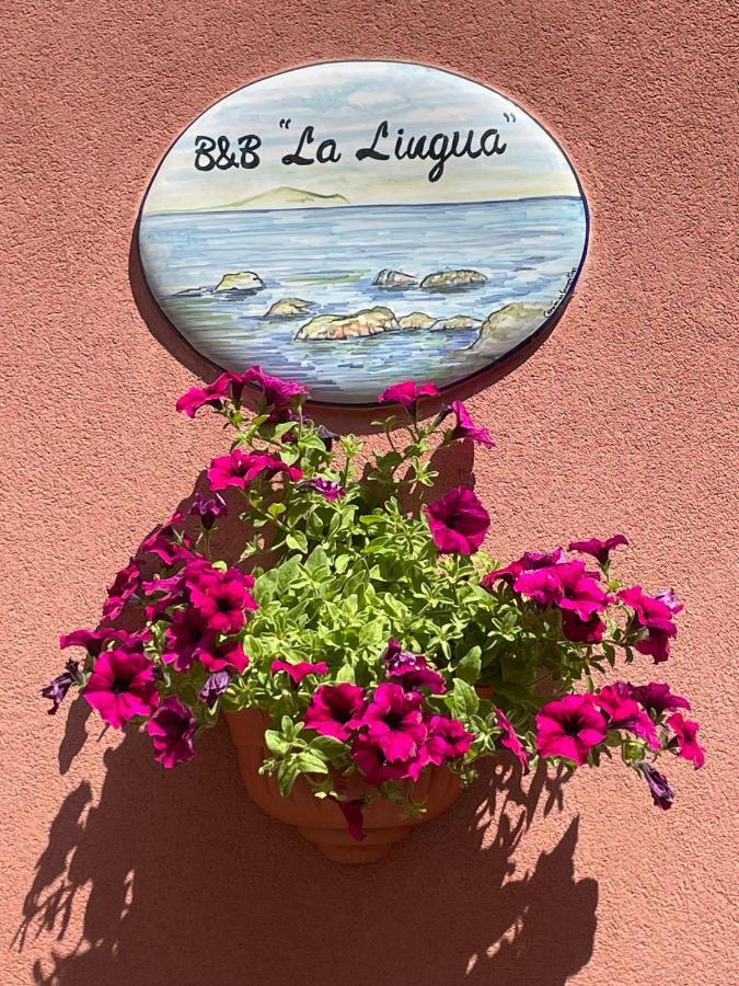 B&B La Lingua Procida Eksteriør bilde